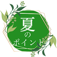 夏のポイント