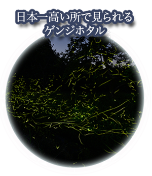 蛍