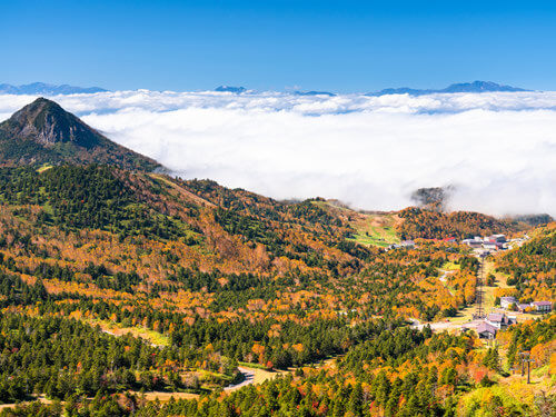 横手山へ